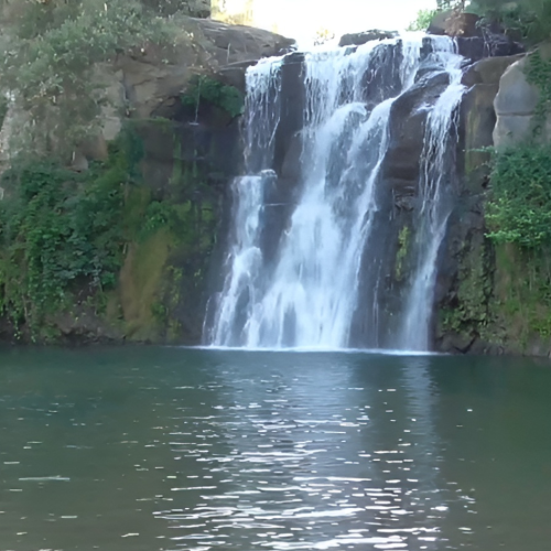 Selva del Lamone: la riserva naturale della Tuscia