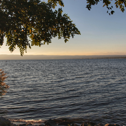 Lago di Bolsena: cosa vedere, cosa fare e dove mangiare
