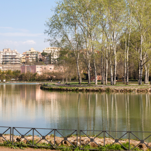 Villa Ada Roma: cosa vedere e come arrivare